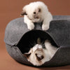 Cozy Cat Haven: Donut Cat Tunnel Bed