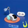 Interactive Cat Chase Toy - USB-Powered Remote Control Sports Car